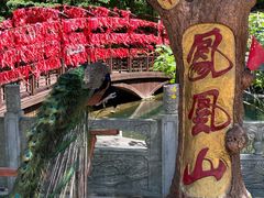 -丹东凤凰山景区