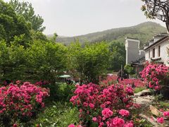 -木兰云雾山