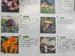 -太婆天府山珍酒楼(亚运村店)