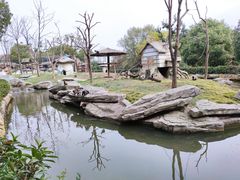 -常州淹城野生动物世界