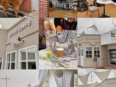 -Blue Concept Cafe&Farm·關於藍