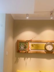 -漂亮妈妈产后恢复中心(回龙观店)
