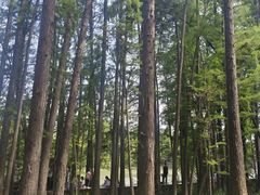 -东湖落雁景区