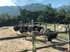 -西安秦岭野生动物园