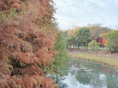 -尚贤河湿地