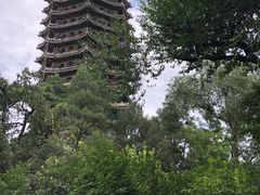 -博雅塔