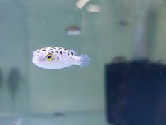 -大润发(姑嫂树店)