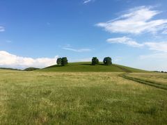 -塞罕坝国家级自然保护区