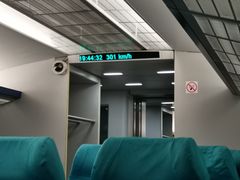 -浦东1号2号航站楼(地铁站)