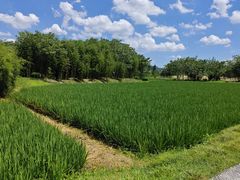 -良渚古城遗址公园