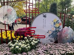 -上海共青森林公园