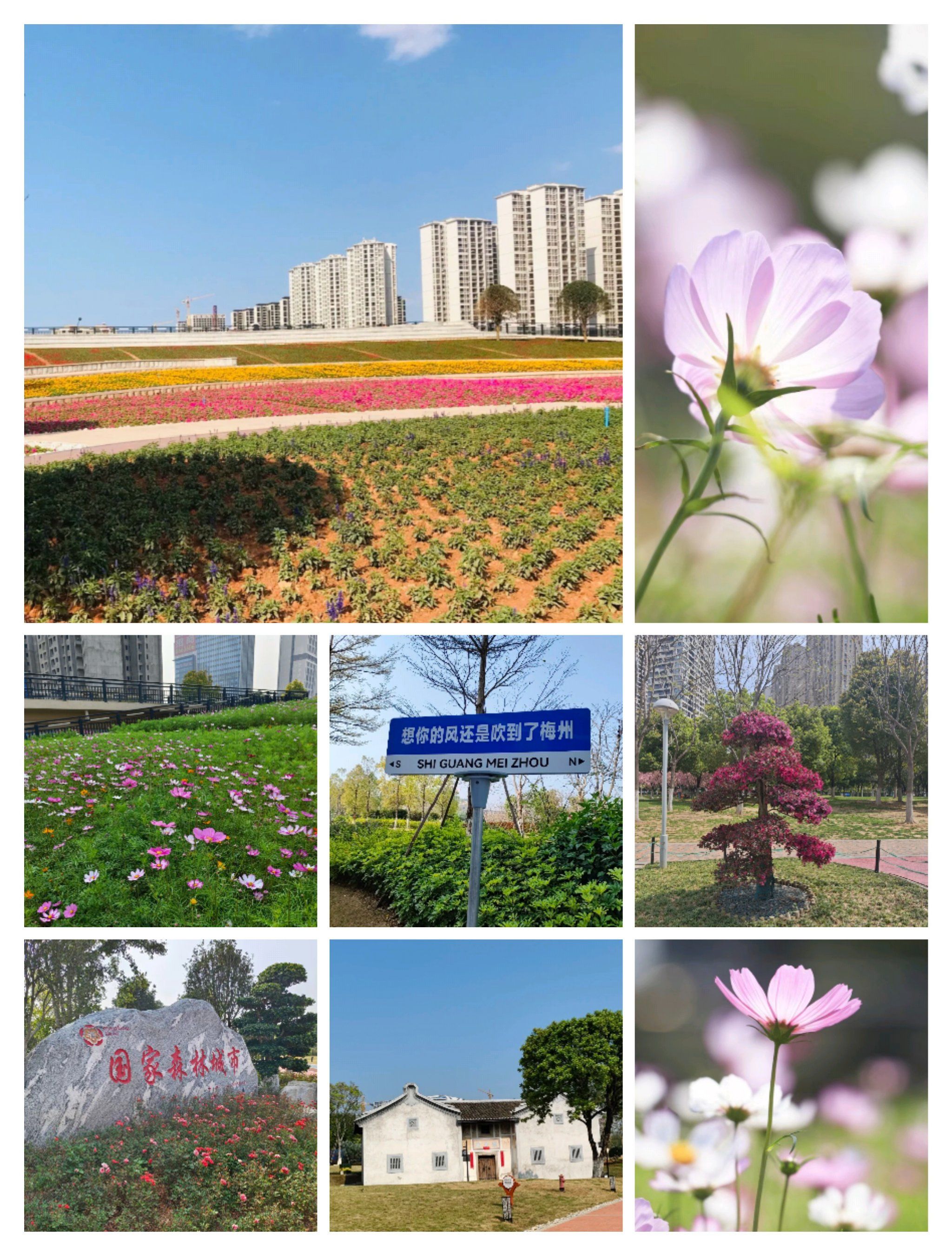 绿轴公园