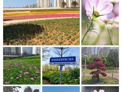 -梅州天地人花园酒店(梅县人民广场店)