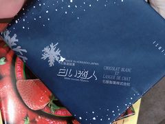 -中部国际机场