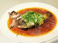 老虎斑-海都六福酒家(世博广场店)