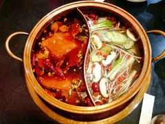 菌菇鸳鸯锅-镇江龙·火锅串串(武侯祠店)