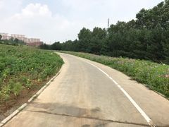 -长春世界雕塑园冰雪艺术天地