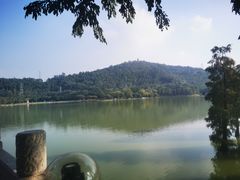 -顺峰山公园