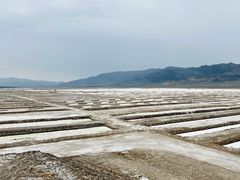 -盐湖景区