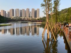 -重庆彩云湖湿地公园