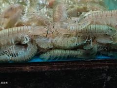 -徐记海鲜(梅溪新天地店)