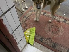 android_upload_pic-万利隆·活力烘焙(人民路店)