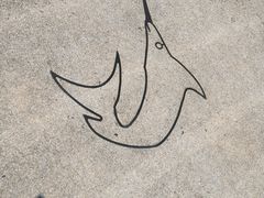 -珠海长隆海洋王国