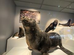 -抱抱地球咖啡馆(国家海洋博物馆店)