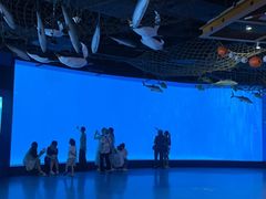 -海合安青岛极地海洋公园