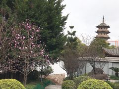 -乌山风景区