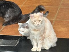 -熙盛源(永乐路店)