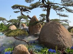 -罗红摄影艺术馆