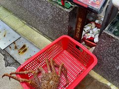 -蚝专家(北滘店)