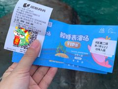 -海合安成都极地海洋公园