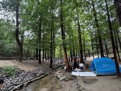 -白水寺森林公园