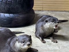 -太平洋海底世界