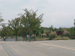 -盘龙城国家考古遗址公园