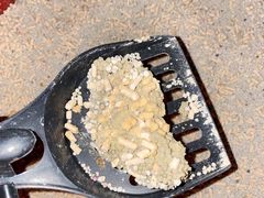 -德元·美联众合24小时动物医院(总院)