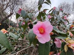 -杭州西湖风景名胜区-钱祠表忠