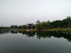 -映月湖公园