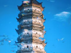 -徽园