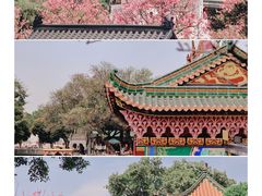 -宝墨园景区