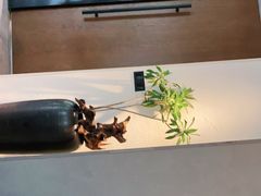 -子福慧(虹桥店)