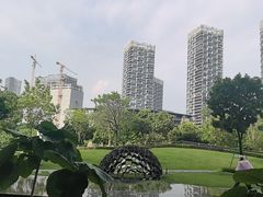 -SAANCI山池咖啡(海上世界文化艺术中心店)