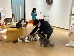 -1013 PET SHOP精品宠物商店(丁香店)