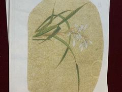 -谷隆画舍·国画书法素描彩铅水彩