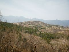 -白水寺森林公园