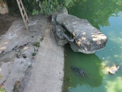 -南昌动物园