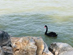 -天津东丽湖风景区