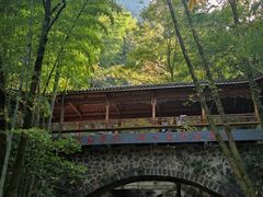 -藏龙百瀑风景区